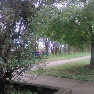 Meet your Posher, Misty dawn